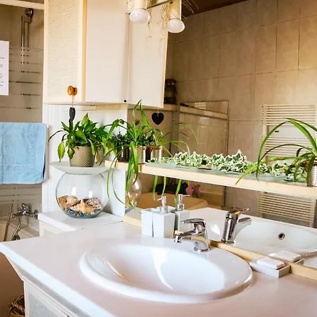 Mas Guapa Dans Le Tarn Albigeois 81 게스트하우스