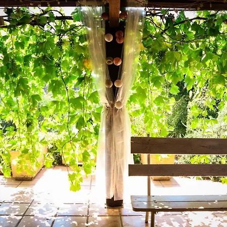 Mas Guapa Dans Le Tarn Albigeois 81