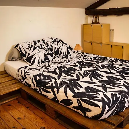 Mas Guapa Dans Le Tarn Albigeois 81