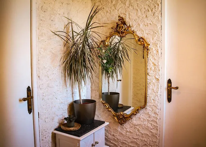 Mas Guapa Dans Le Tarn Albigeois 81 ゲストハウス *