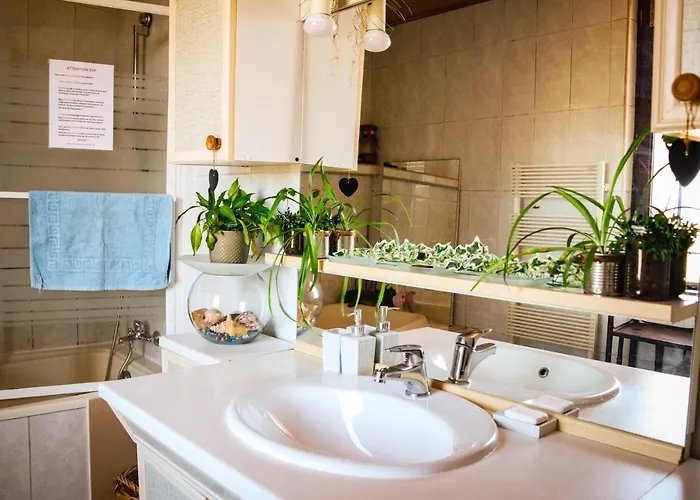 Mas Guapa Dans Le Tarn Albigeois 81 ゲストハウス