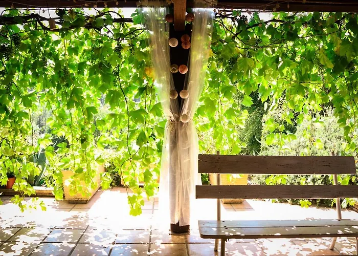 Mas Guapa Dans Le Tarn Albigeois 81