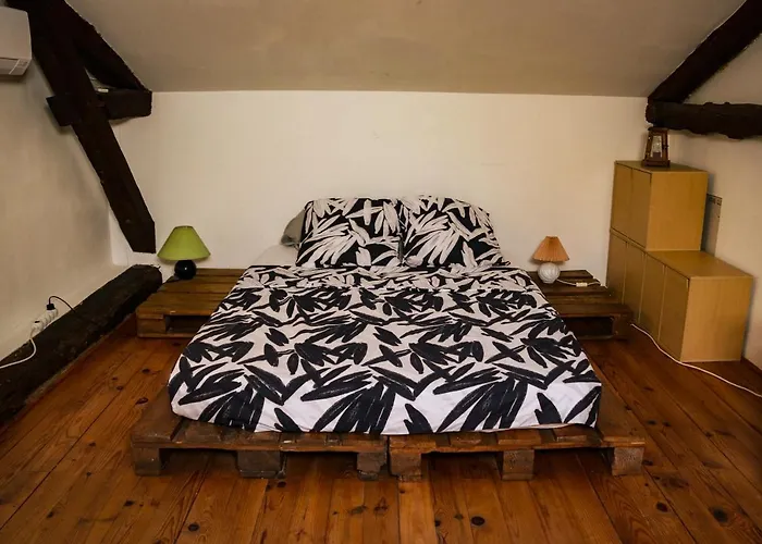 Mas Guapa Dans Le Tarn Albigeois 81 *