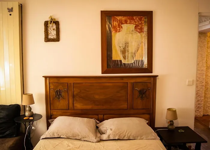 Mas Guapa Dans Le Tarn Albigeois 81 ゲストハウス