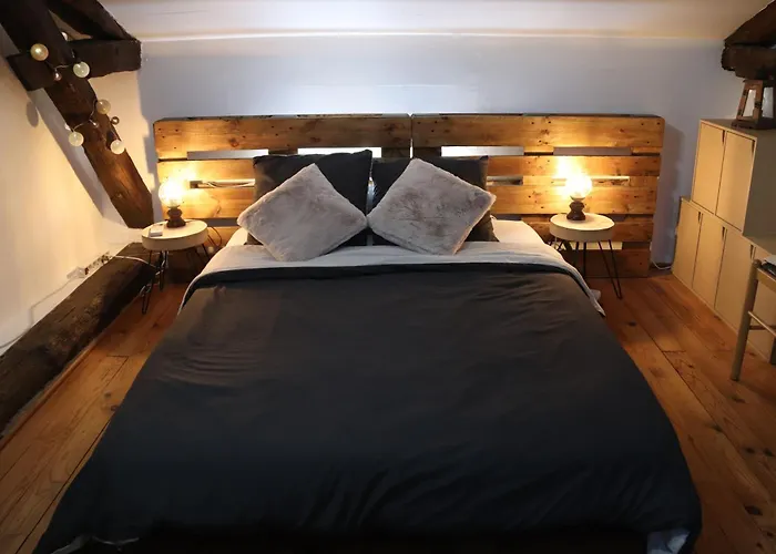 Mas Guapa Dans Le Tarn Albigeois 81 * Lescure-dʼAlbigeois