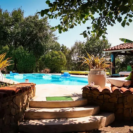Mas Guapa Dans Le Tarn Albigeois 81 Guest house