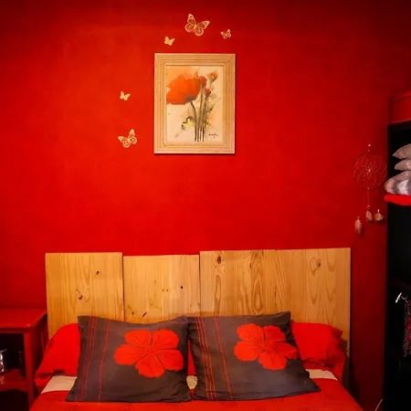 Mas Guapa Dans Le Tarn Albigeois 81 Guest house