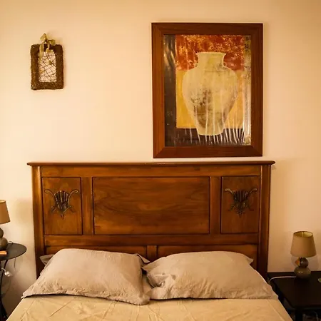 Mas Guapa Dans Le Tarn Albigeois 81 Guest house