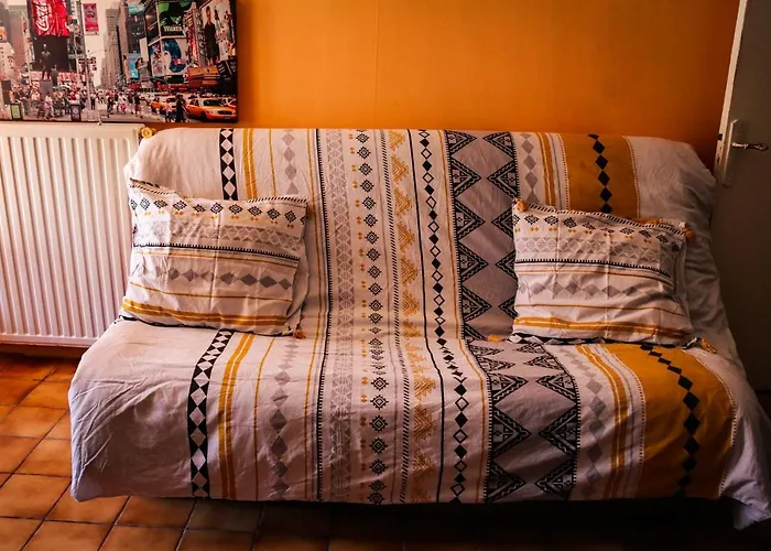 Mas Guapa Dans Le Tarn Albigeois 81